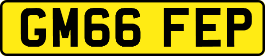 GM66FEP