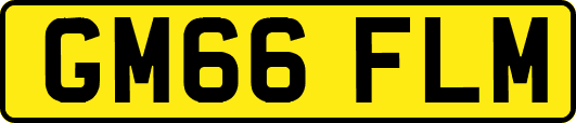 GM66FLM
