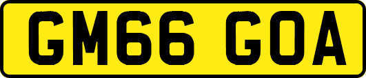 GM66GOA