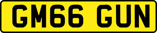 GM66GUN
