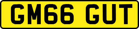 GM66GUT