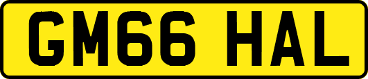 GM66HAL