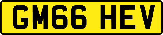 GM66HEV