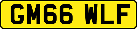 GM66WLF
