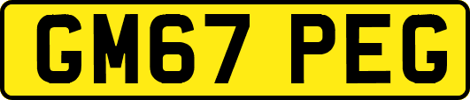 GM67PEG