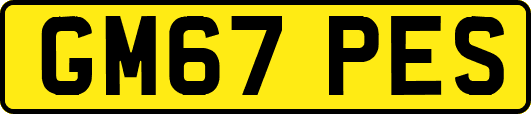 GM67PES