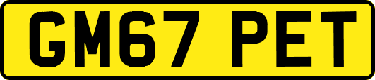 GM67PET