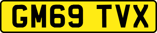 GM69TVX