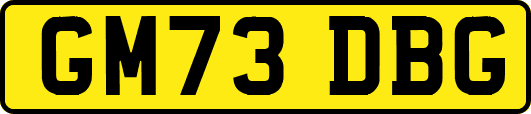 GM73DBG