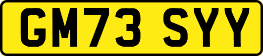 GM73SYY