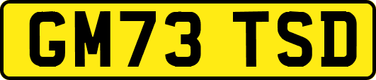 GM73TSD
