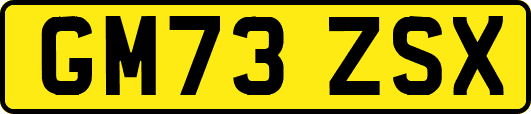GM73ZSX