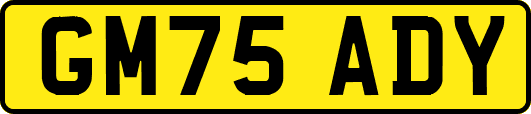 GM75ADY