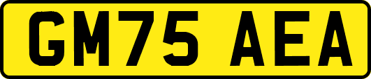 GM75AEA