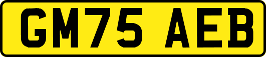 GM75AEB