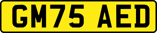 GM75AED