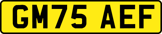 GM75AEF