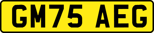 GM75AEG