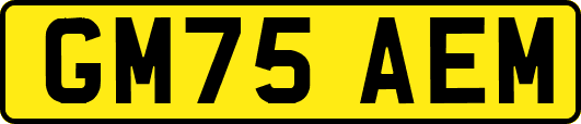 GM75AEM