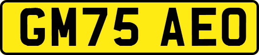 GM75AEO