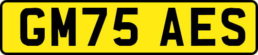 GM75AES