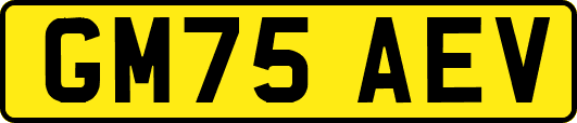 GM75AEV