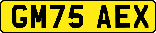 GM75AEX