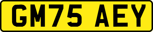 GM75AEY