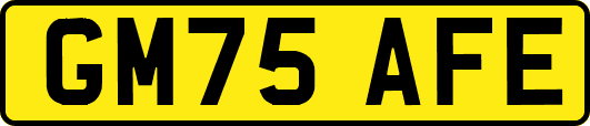 GM75AFE