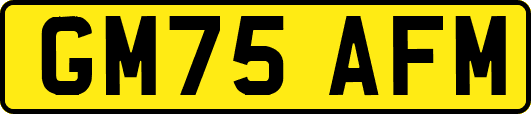 GM75AFM