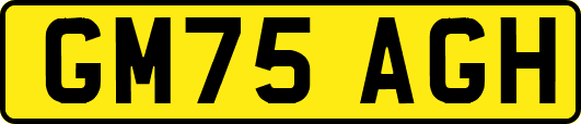 GM75AGH
