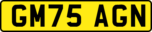 GM75AGN