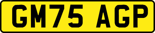 GM75AGP