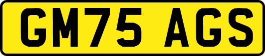 GM75AGS