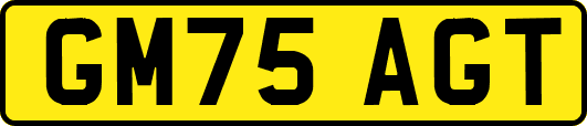 GM75AGT