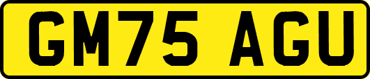 GM75AGU