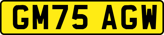 GM75AGW