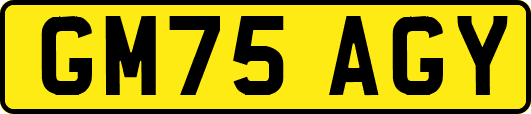 GM75AGY