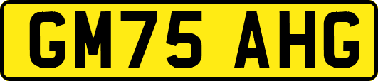 GM75AHG