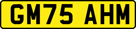 GM75AHM