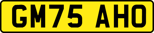 GM75AHO