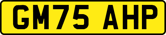 GM75AHP