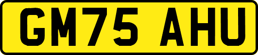GM75AHU