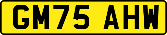 GM75AHW
