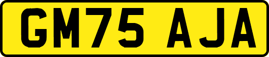GM75AJA