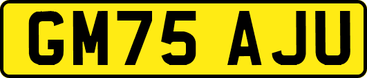 GM75AJU