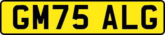 GM75ALG