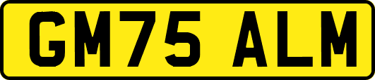 GM75ALM