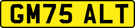 GM75ALT