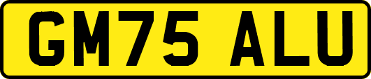 GM75ALU